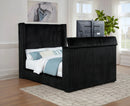 Centergrove Wingback TV Bed