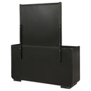 Leandro Dresser with Mirror - Golden Linens & Furniture (PA)* 
