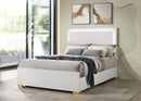 Marceline Panel Bed with LED Lighting - Golden Linens & Furniture (PA)* 