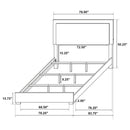 Marceline Panel Bed with LED Lighting - Golden Linens & Furniture (PA)* 