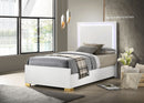 Marceline Panel Bed with LED Lighting - Golden Linens & Furniture (PA)* 
