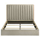 Arielle Bookcase Bed