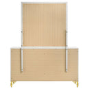 Lucia Dresser with Mirror