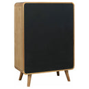 Robyn Bedroom Set - Golden Linens & Furniture (PA)* 