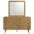 Robyn Dresser with Mirror