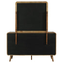 Robyn Dresser with Mirror