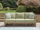 Serena Shores Outdoor Sofa with Cushion