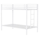 Alevera Bunk Bed - Golden Linens & Furniture (PA)* 