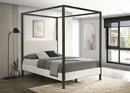Monroe Canopy Panel Platform Bed