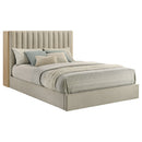 Arielle Bookcase Bed