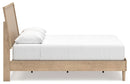 Cielden Bed - Golden Linens & Furniture (PA)* 