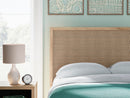 Cielden Bed - Golden Linens & Furniture (PA)* 