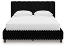 Zuraleus Bed