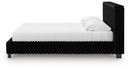 Zuraleus Bed