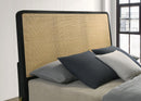 Arini Eastern King Bed - Golden Linens & Furniture (PA)* 