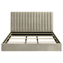 Arielle Bookcase Bed